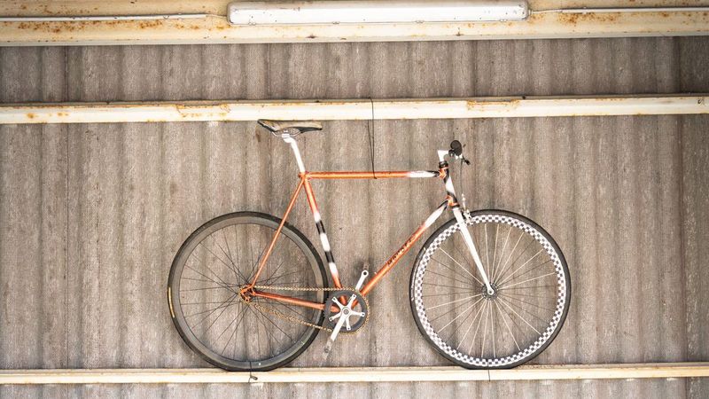 velovelo